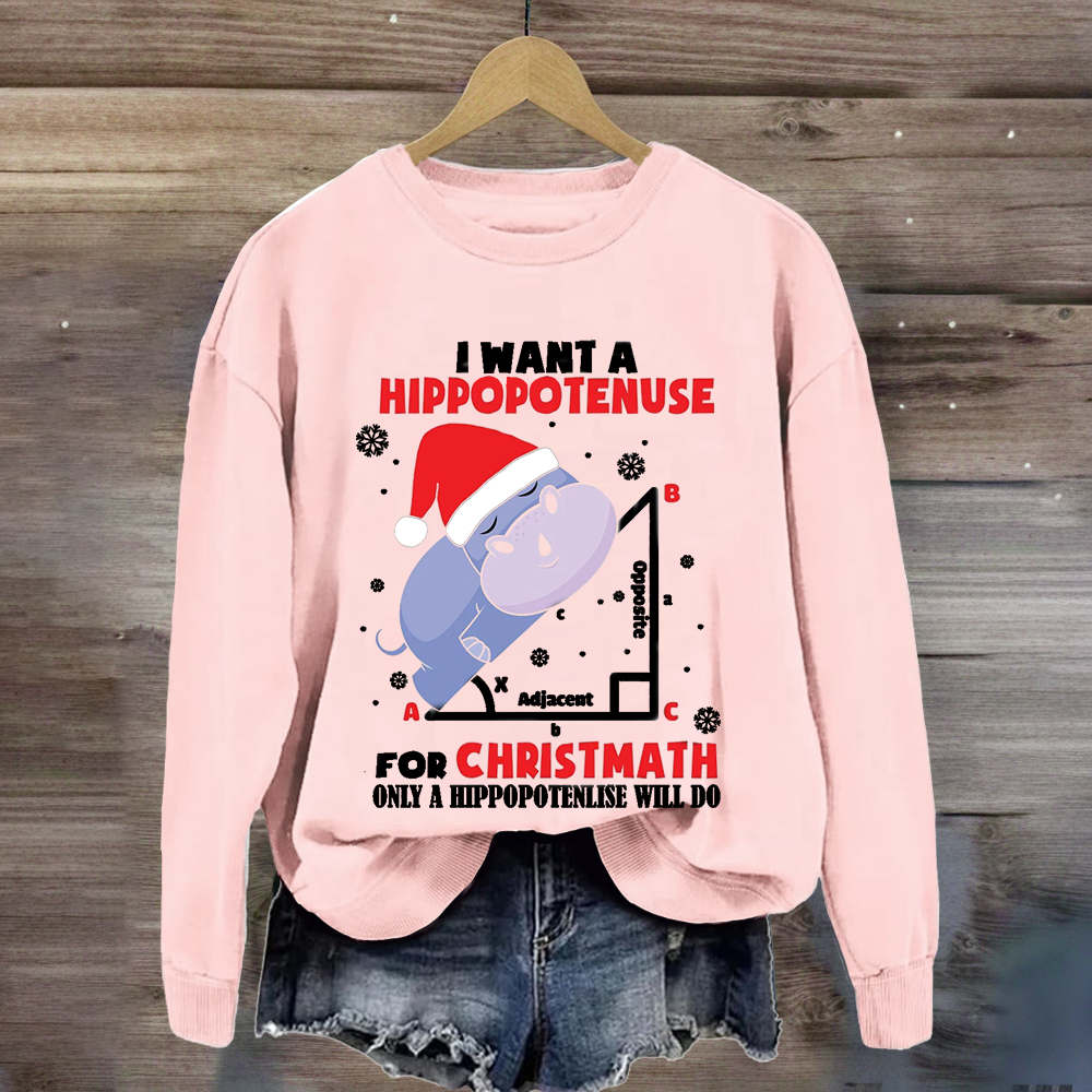 I Want A Hippopotenuse For Christmas Sweatshirt