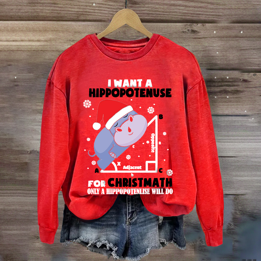 I Want A Hippopotenuse For Christmas Sweatshirt